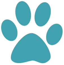 paw icon